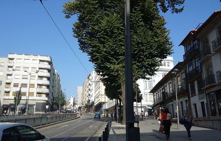 Ceuta *